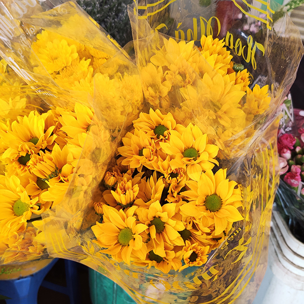 Combo trái cây và hoa mai cam